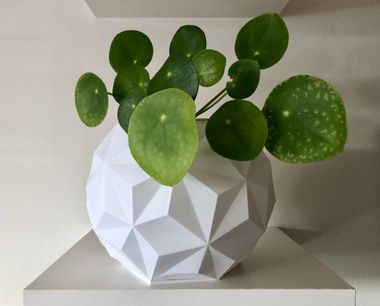 Geometric Vase, 3D Printed Vase, Geometric Planter, Succulent Planter, Geo Planter, Eco Friendly Planter Flower Pot
