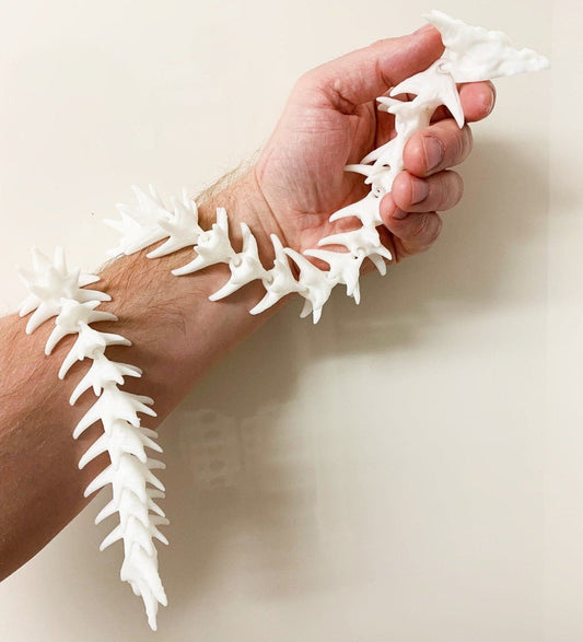 ARTICULATED Skeleton Dragon Fidget Toy, 3D Printed Fidget Toy, Fidget Toy Adult, Fidgets, Bone Fidget Toy, Desk Toy
